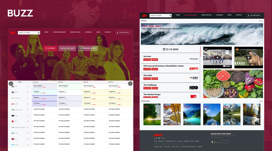 Buzz TV Channel Guide | Website Development